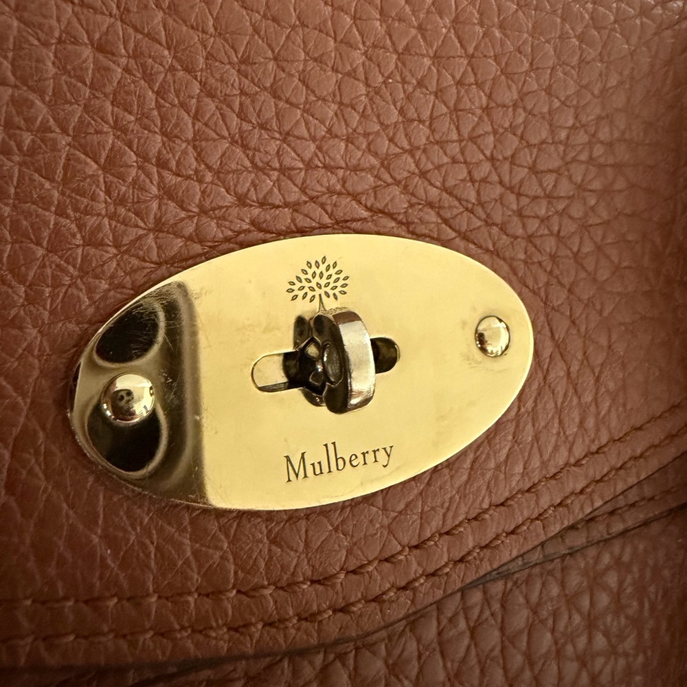 Mulberry Braided-Handle Mini Satchel in Chestnut - Picture 6 of 16